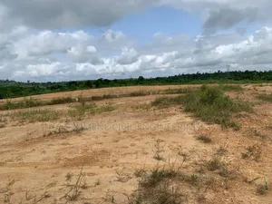 Lands for Sale in Abrankese