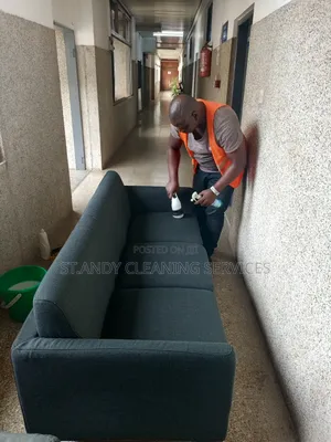 Cleaning Sofa and Polish