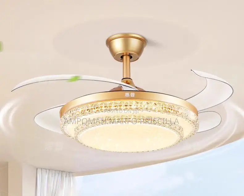 Summer Wind Fan Light
