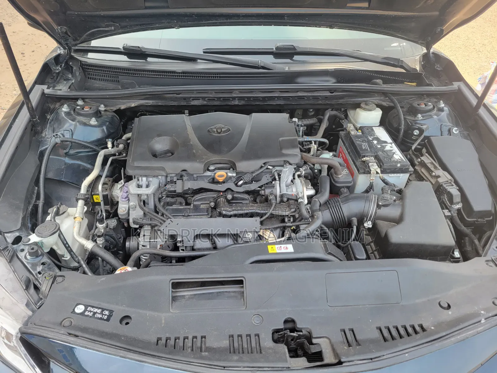Toyota Camry XLE FWD 2020 Green