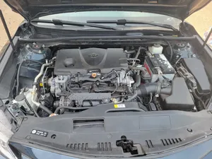 Toyota Camry XLE FWD 2020 Green