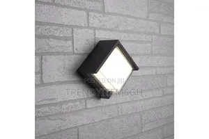 Modern Outdoor/Indoor Led Wall Lamp