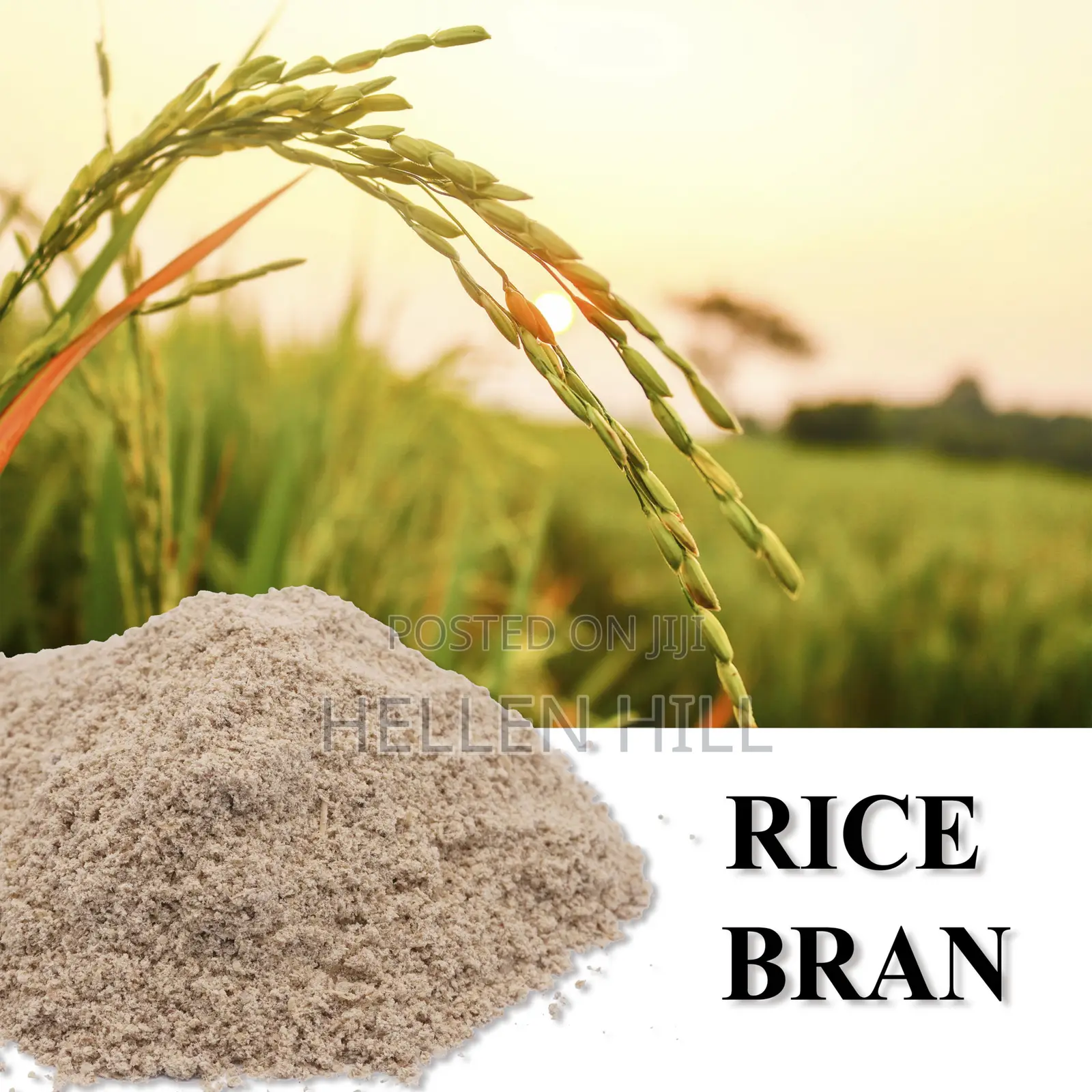 Rice Bran for All Livestock