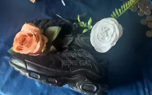 Original Nike Tn Air Max Plus Triple Black