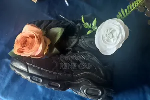 Original Nike Tn Air Max Plus Triple Black
