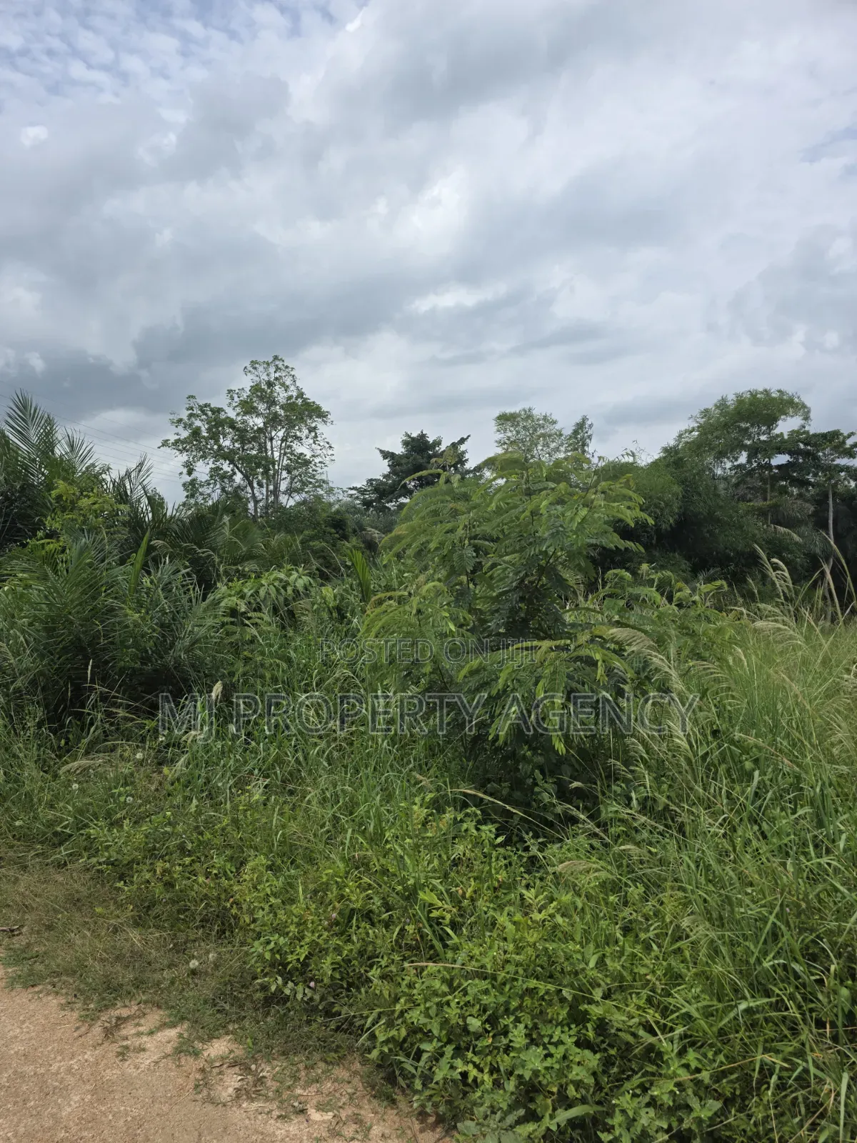 1 Acre Commercial Land at Barekese