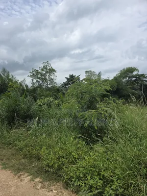 1 Acre Commercial Land at Barekese