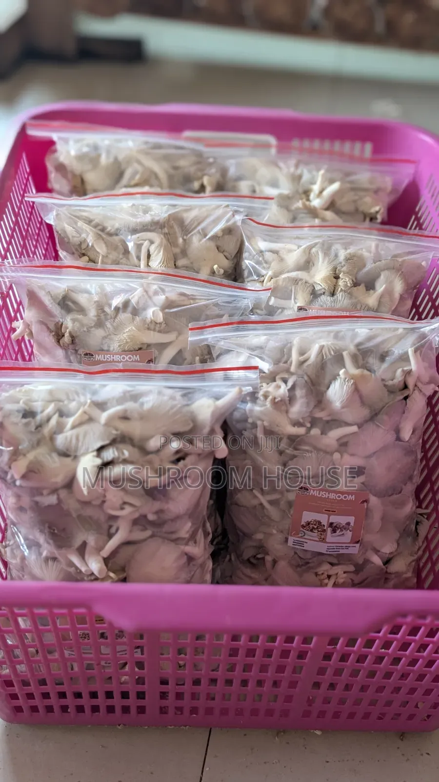 Organic Oyster Mushrooms For Sale ( Both Fresh And Dried)