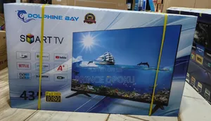 43 Inch Tv