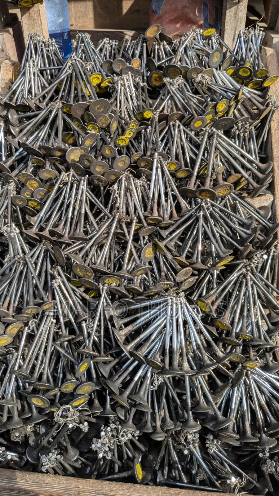 All Engine Valves