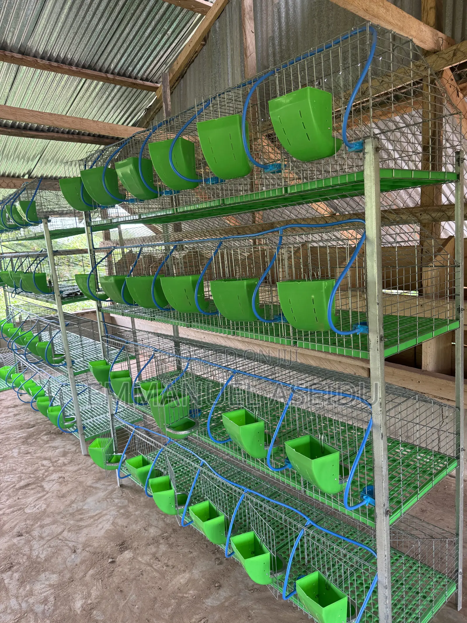 Rabbit Cages