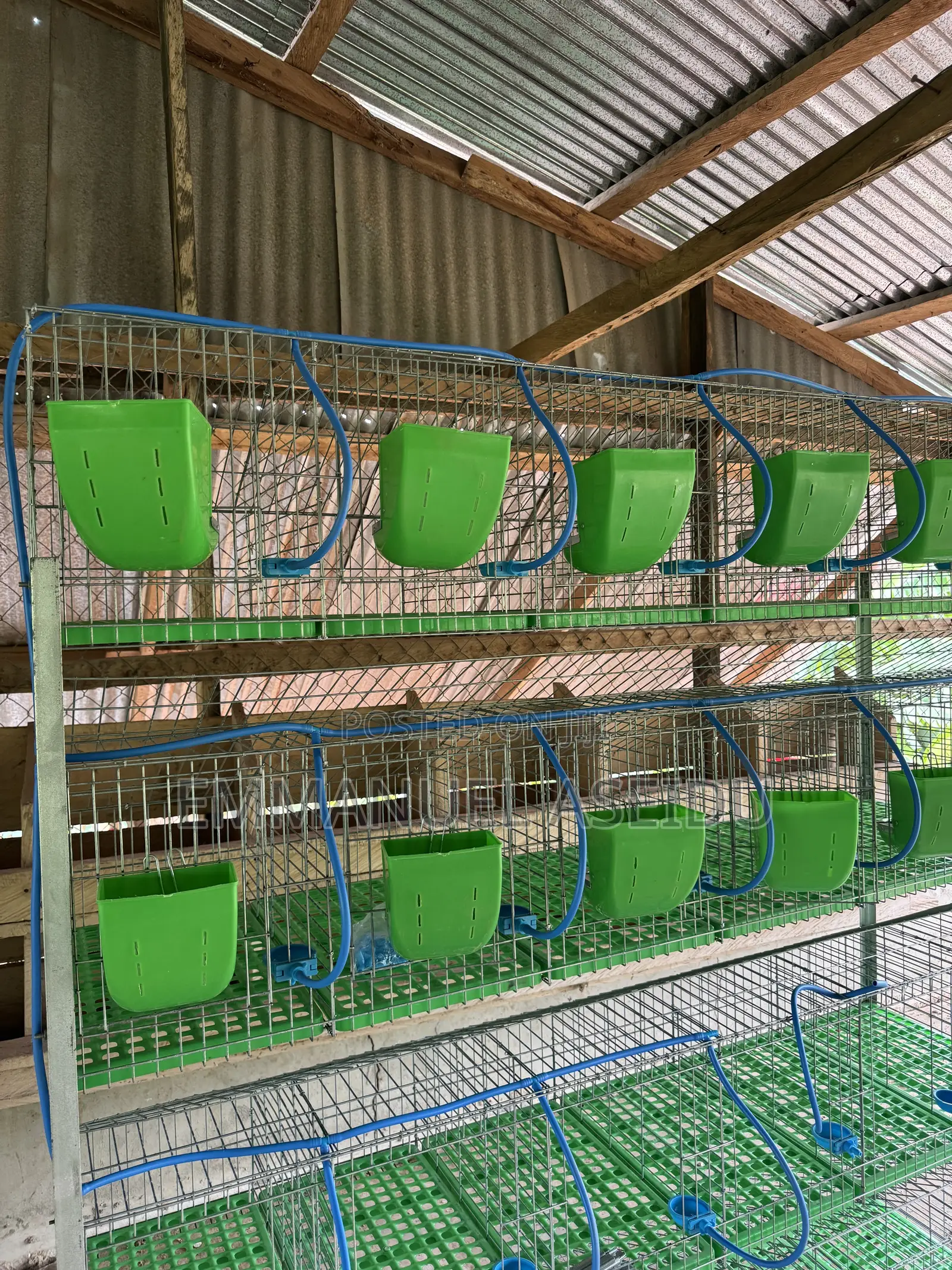 Rabbit Cages