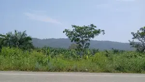 Farm Land and Building Plots Available for Sale