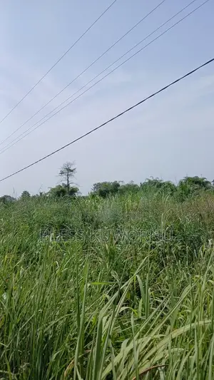 Farm Land and Building Plots Available for Sale
