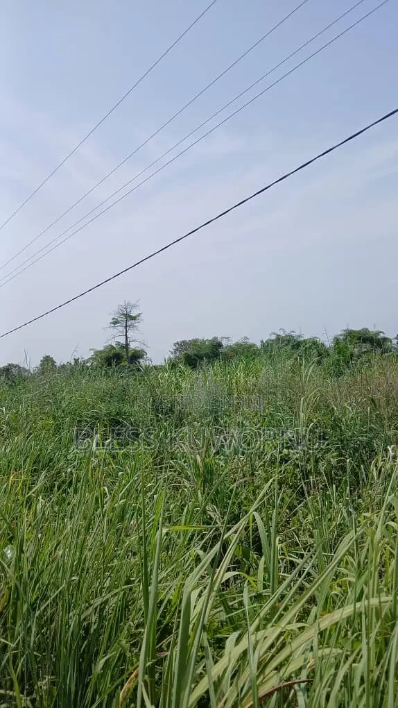 Farm Land and Building Plots Available for Sale