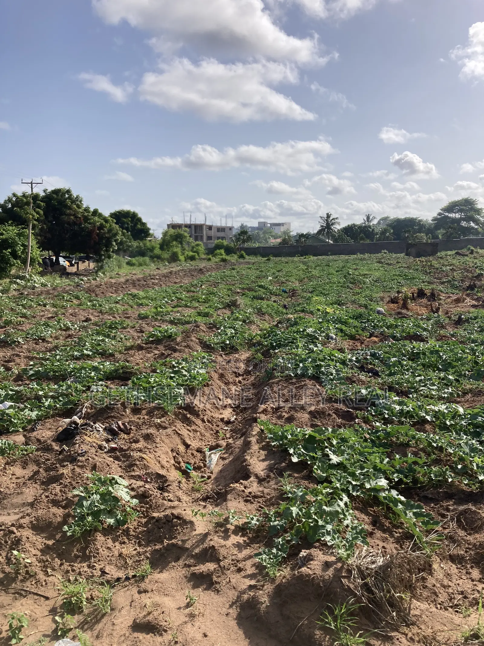 Titled 9 Plots of Roadside Land for Sale in Kokrobite