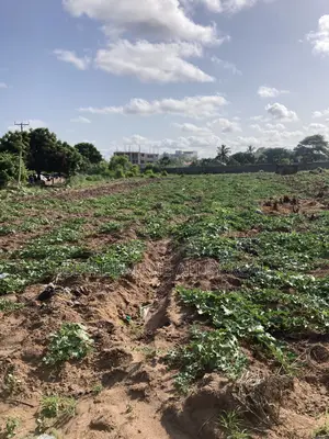 Titled 9 Plots of Roadside Land for Sale in Kokrobite