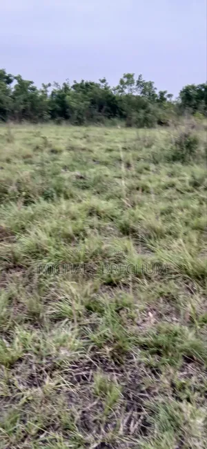 2 Plots of Land for Sale