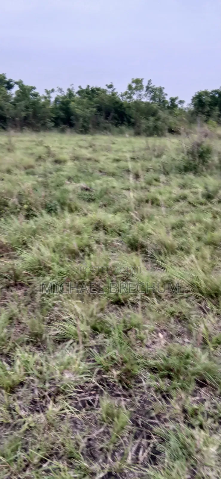 2 Plots of Land for Sale