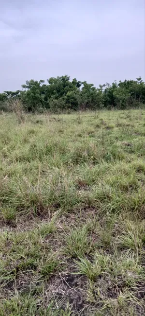 2 Plots of Land for Sale