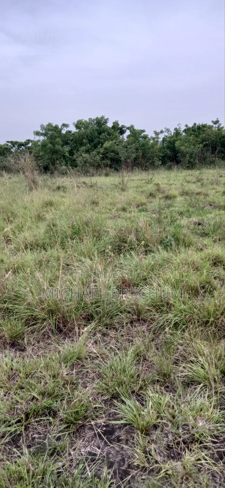 2 Plots of Land for Sale