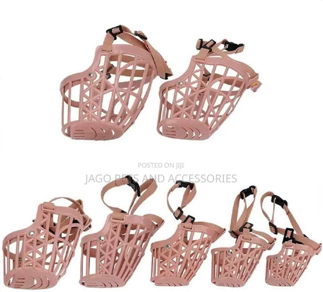 Mouth Guard