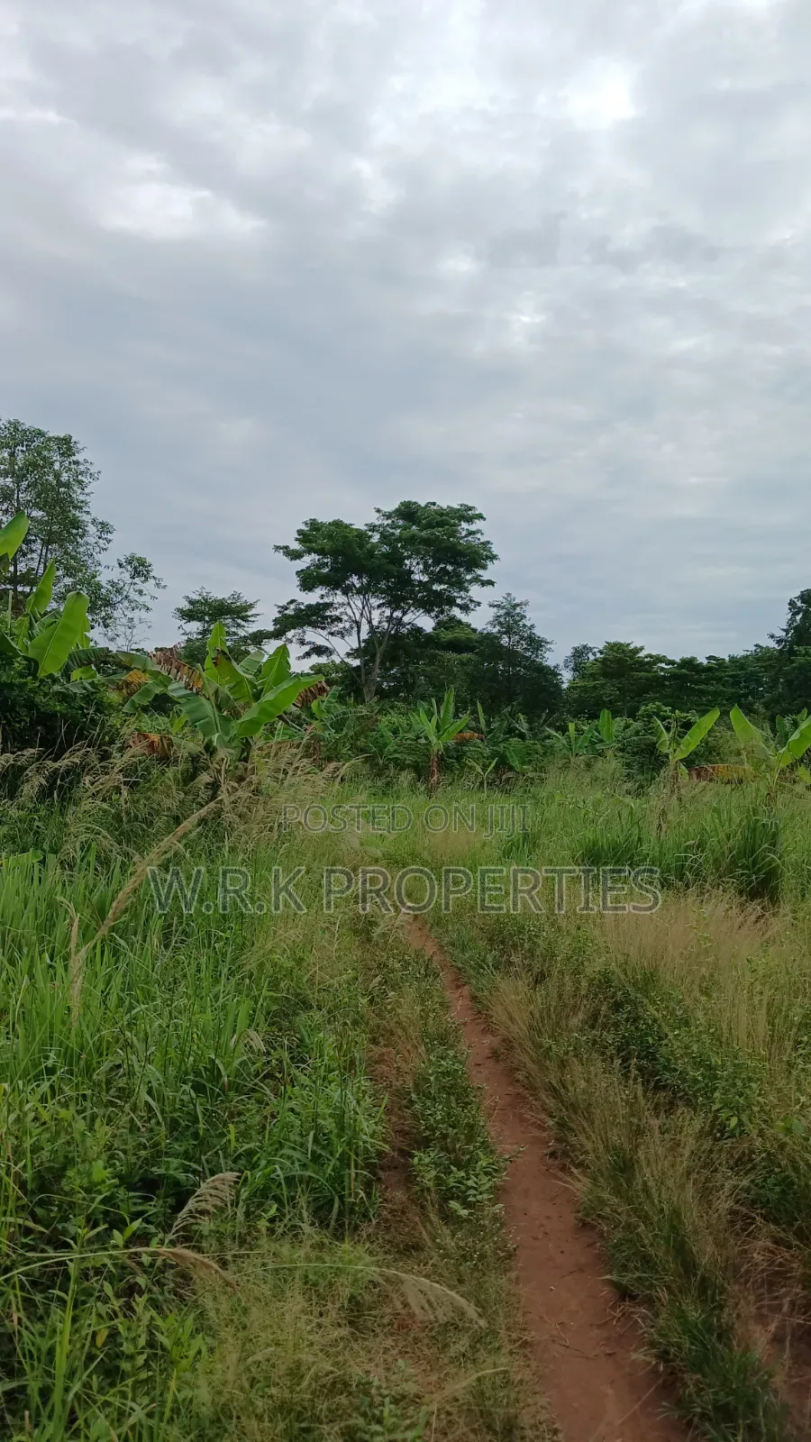 Plots Of Land For Sale At Eastern Region