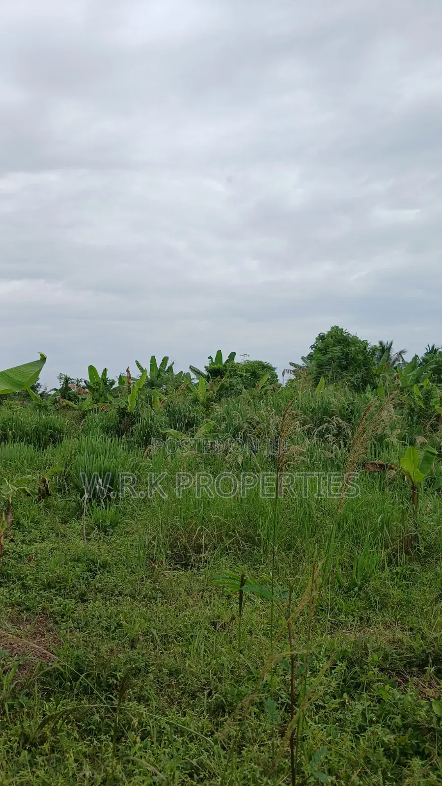 Plots Of Land For Sale At Eastern Region