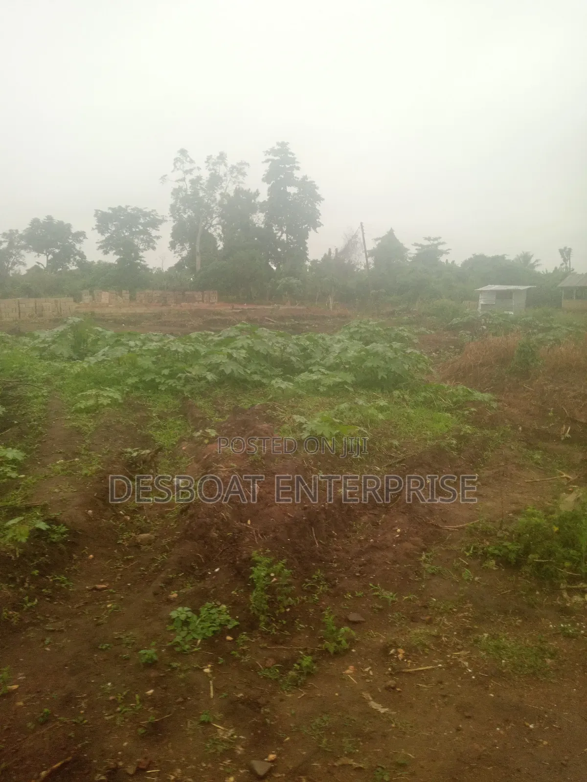 Full Plot of Land for Sale