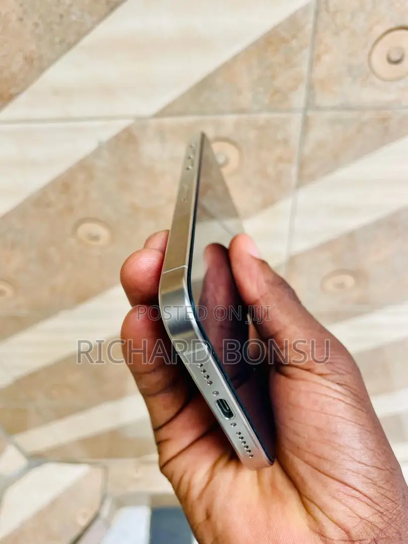 Apple iPhone 15 Pro Max 256 GB Silver