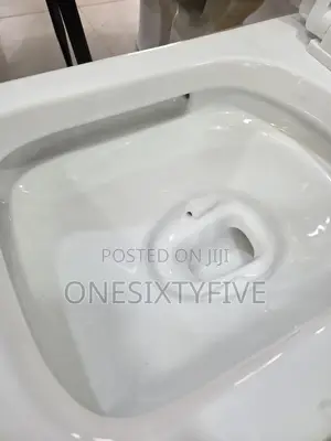 One Piece Water Closet With Tornado Flush System