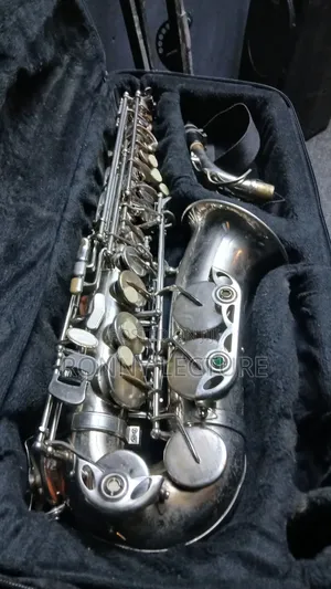 Titanic Alto Saxophone