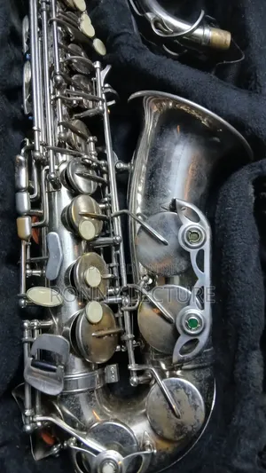 Titanic Alto Saxophone