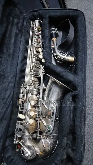Titanic Alto Saxophone