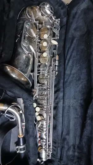 Titanic Alto Saxophone