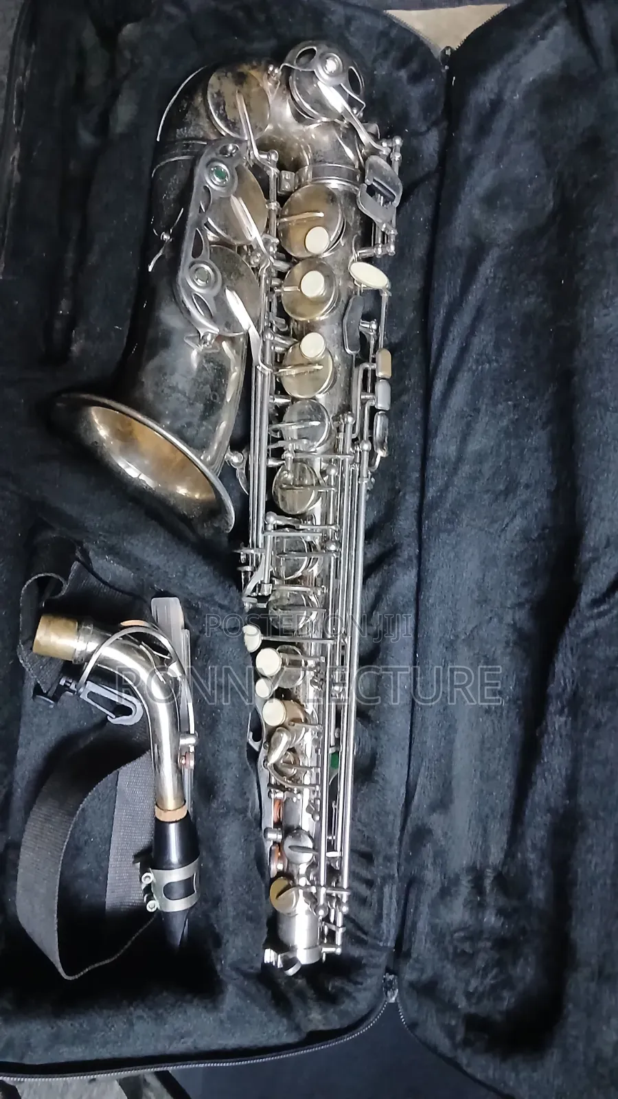 Titanic Alto Saxophone