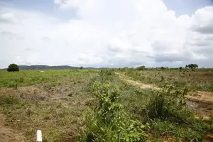 Waterlogged Free Land at Amasaman-Amuman