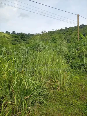 15 Acres for Sale at Apollonia