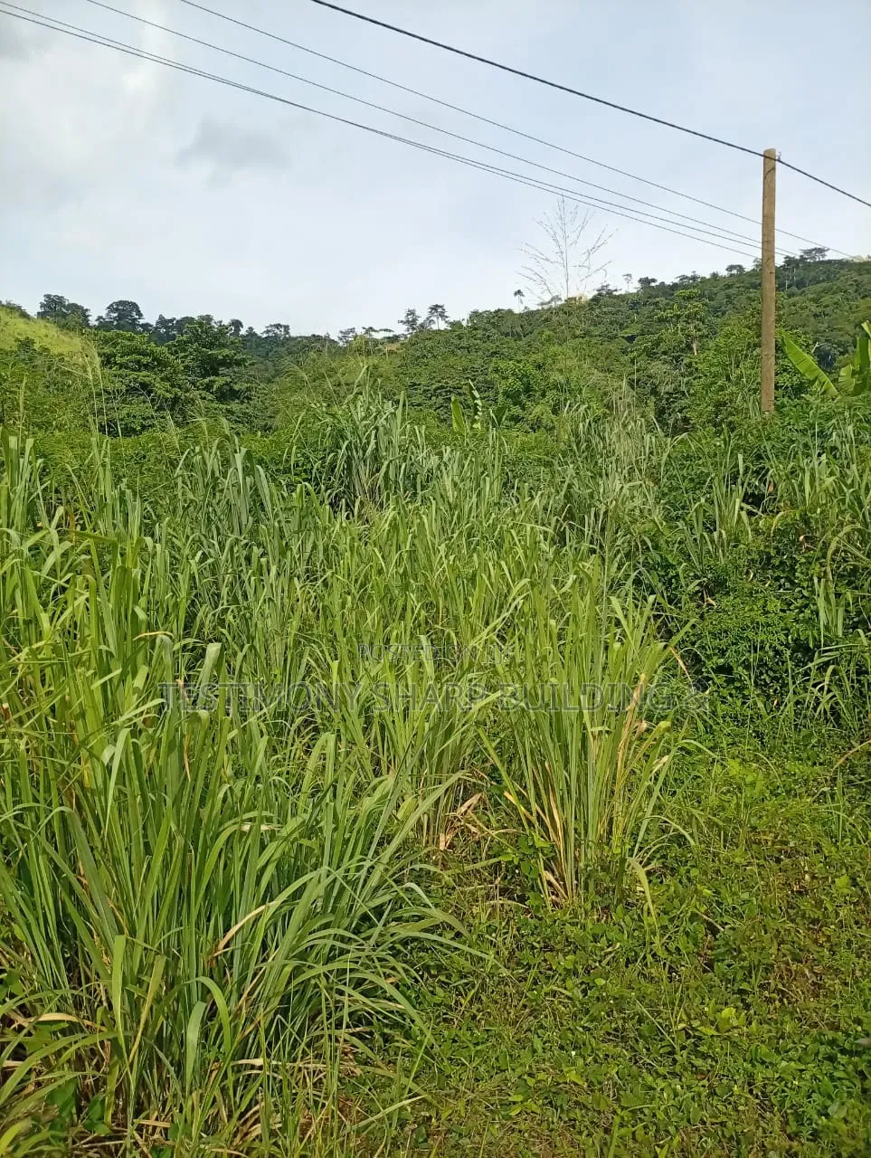 15 Acres for Sale at Apollonia