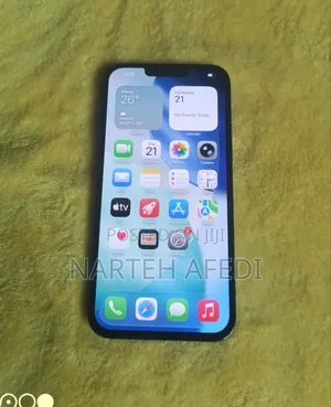 Apple iPhone 13 Pro Max 256 GB Gray