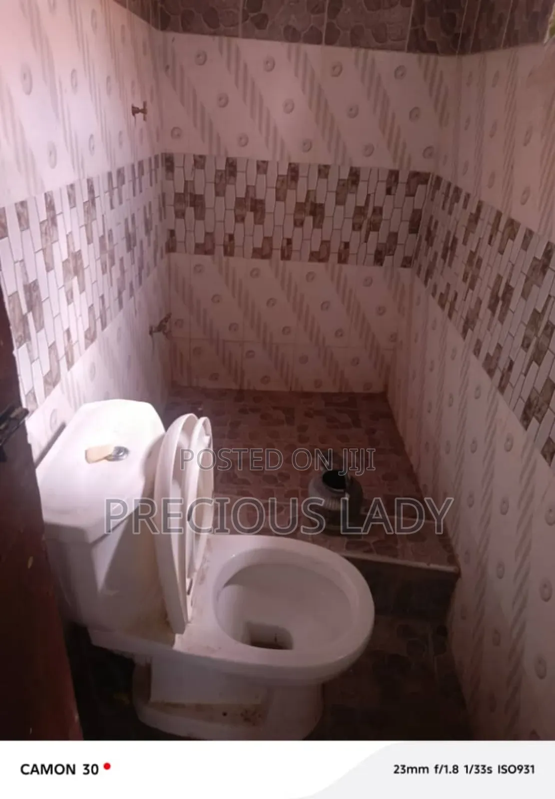Furnished 1bdrm Apartment in Precious Lady, Pokuase for rent
