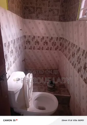 Furnished 1bdrm Apartment in Precious Lady, Pokuase for rent