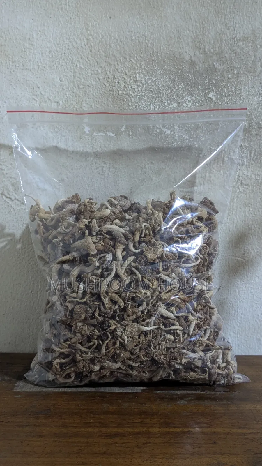 Organic Oyster Mushrooms For Sale ( Both Fresh And Dried)