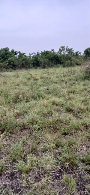 Llitigation Free Land for Sale
