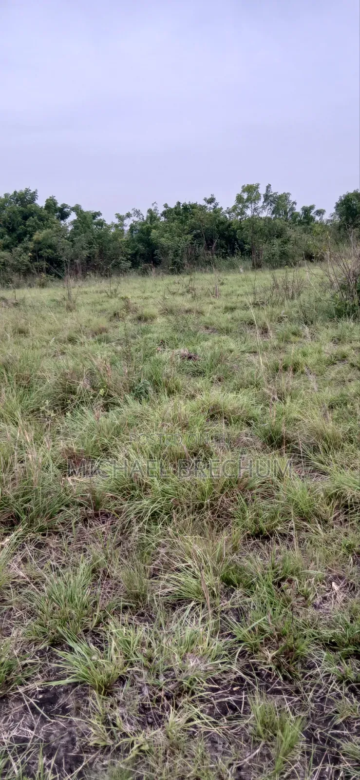 Llitigation Free Land for Sale