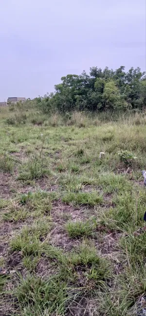 Llitigation Free Land for Sale