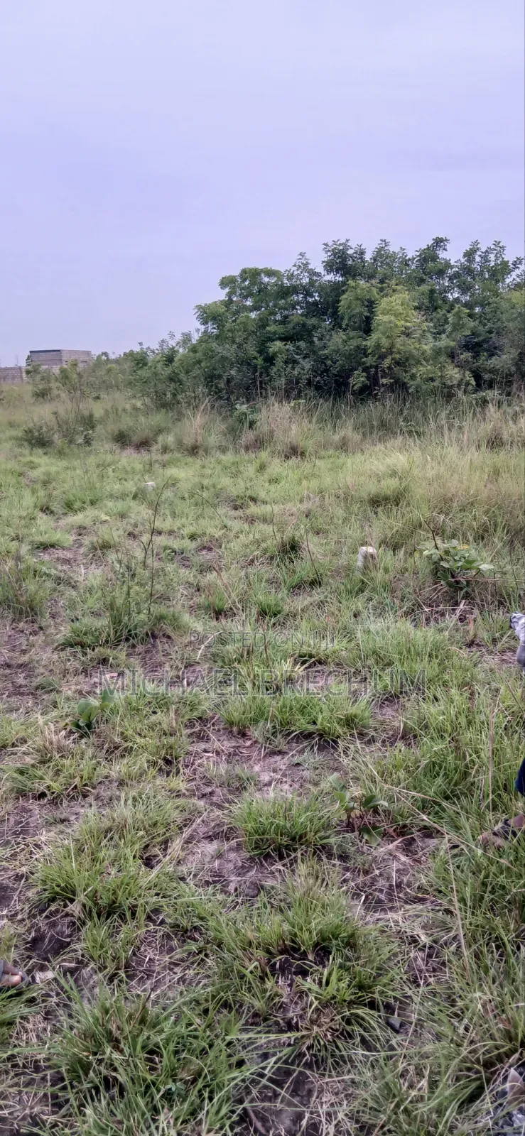 Llitigation Free Land for Sale