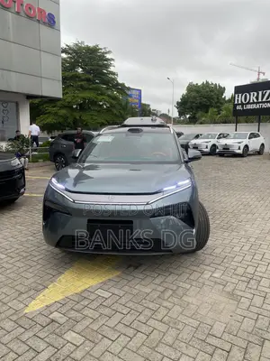 New BYD Tang DM-i 2025 Gray