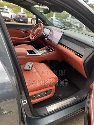 New BYD Tang DM-i 2025 Gray