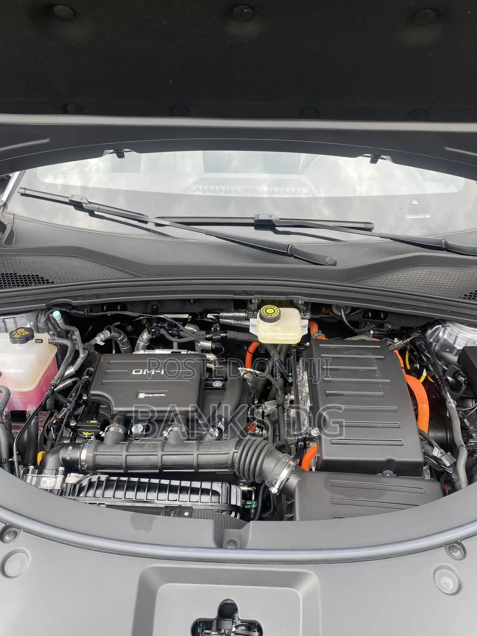 New BYD Song Plus DM-i 2025 Gray